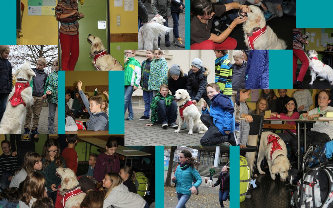 Tierischer Besuch in der Klasse 5e: Schulhund „Davina“