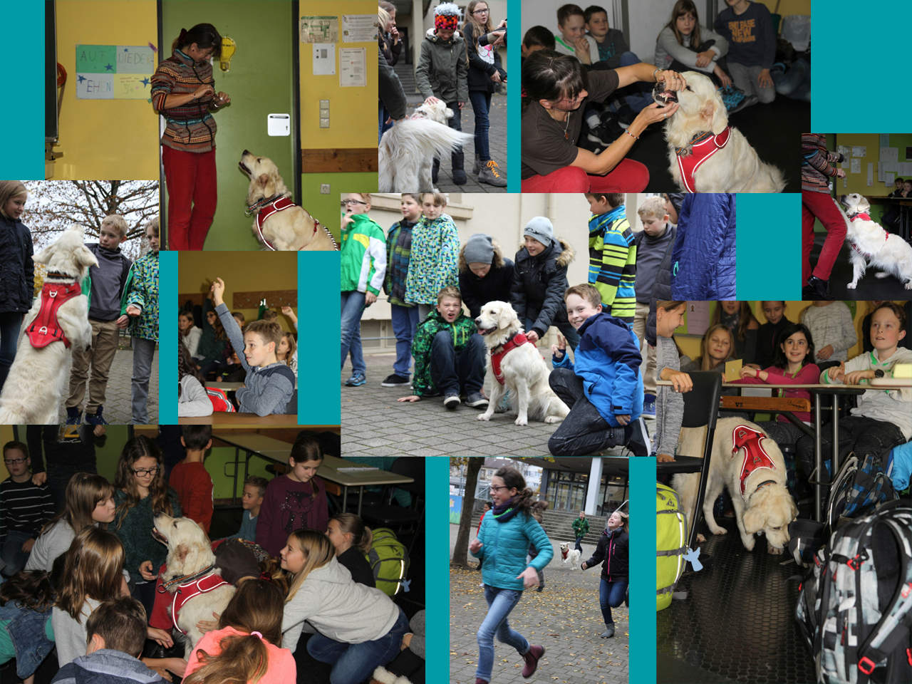 schulhund-davina-bei-der-5e