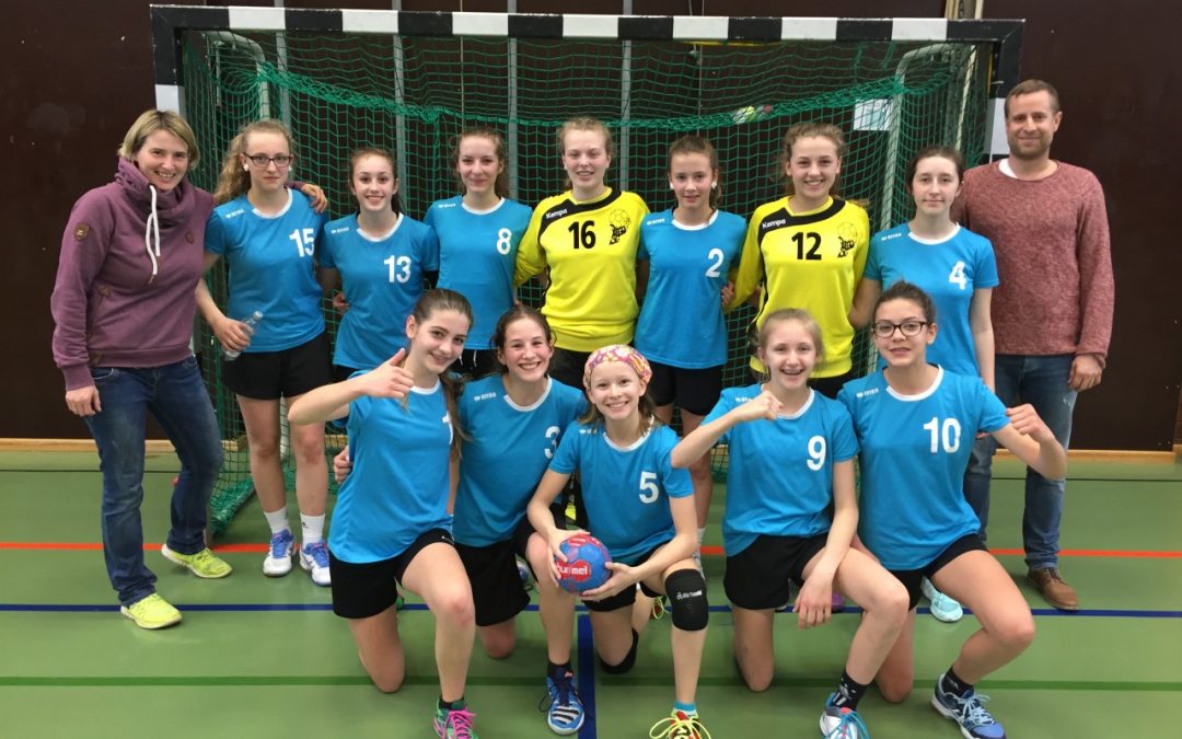 Handball-Landesfinale mit Schiller-Beteiligung