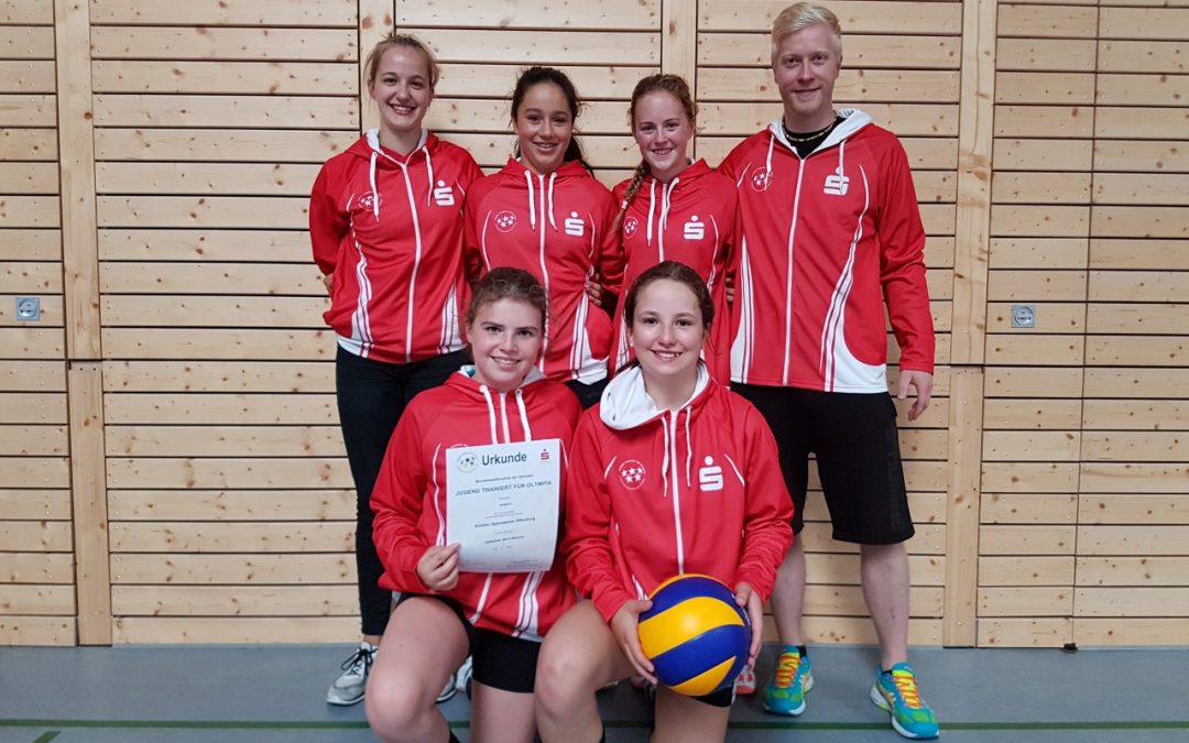 Volleyball-Landessieger 2017