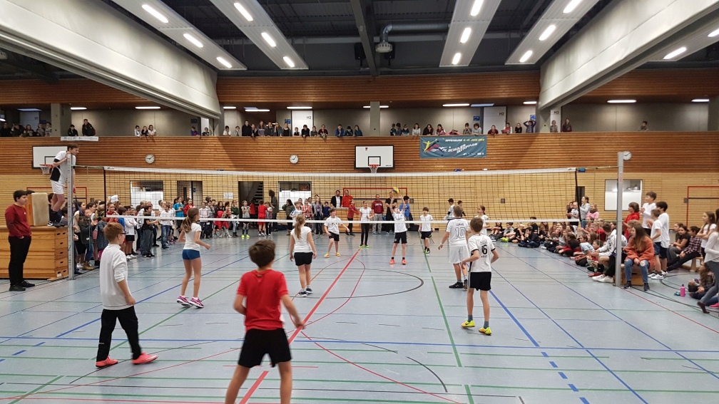 Mehrere Volleyballfelder in der Halle, auf allen wird gleichzeitig gespielt